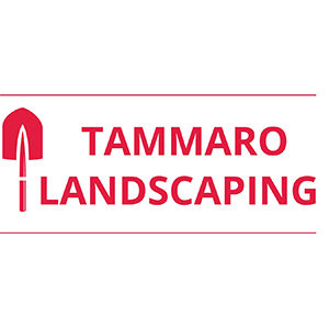 Tammaro Landscaping